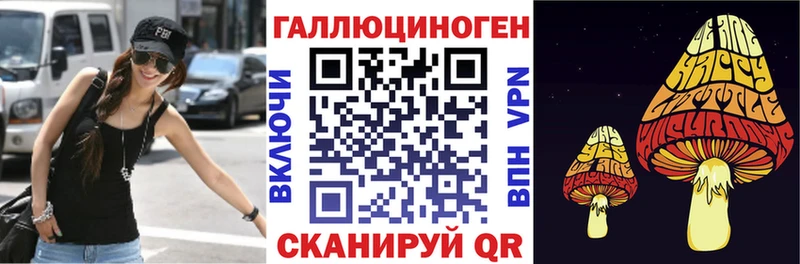 Псилоцибиновые грибы Magic Shrooms  кракен зеркало  Череповец 
