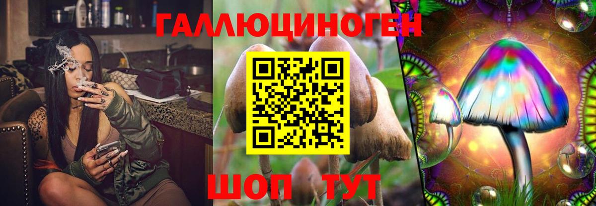 Псилоцибиновые грибы GOLDEN TEACHER Череповец